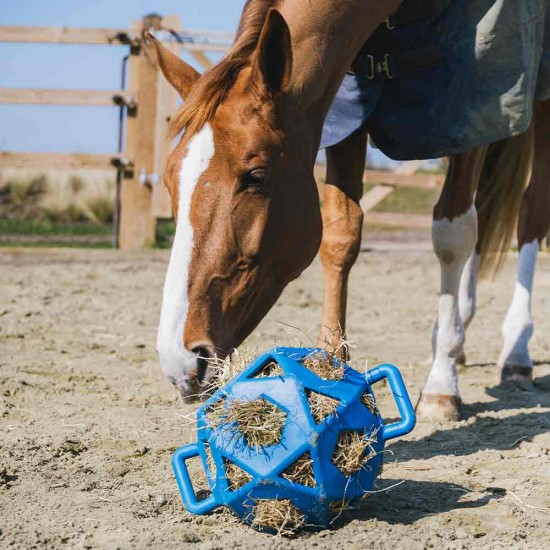 Kentucky Play & Hay Ball - Royal Blue image