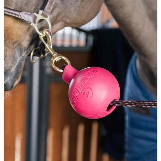 Kentucky Rubber Ball Wall & Lead Protector - Pink image