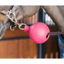Kentucky Rubber Ball Wall & Lead Protector - Pink
