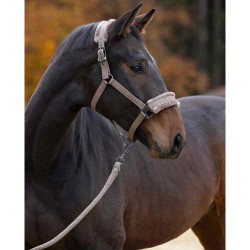 Covalliero Headcollar - Taupe