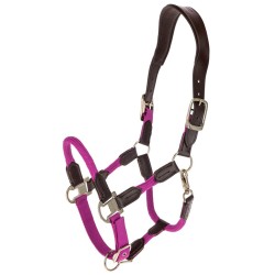 Covalliero Cordano Headcollar - Light Berry