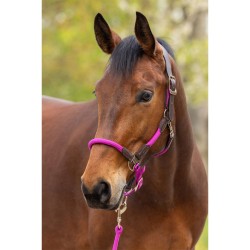 Covalliero Cordano Headcollar - Light Berry