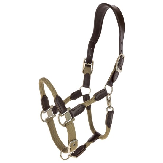 Covalliero Cordano Headcollar - Walnut image