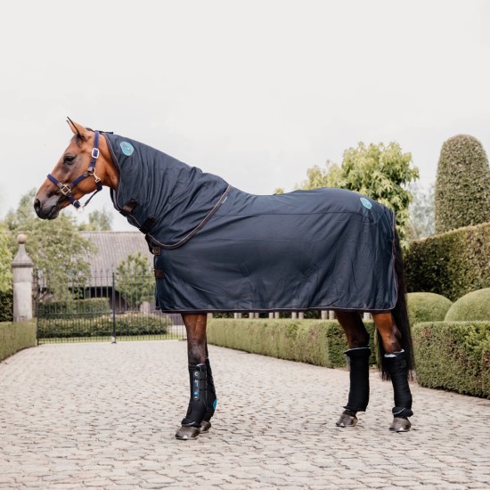 Kentucky Horsewear Magnetic rug Recuptex Horse Rugs image