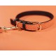 Kentucky Dogwear Plaited Dog Collar- Orange image
