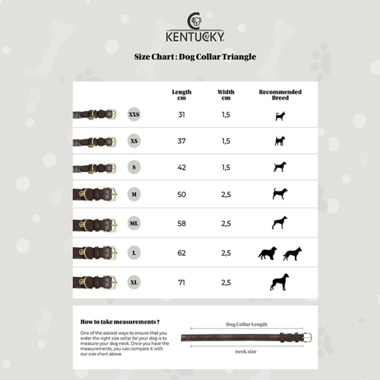 Kentucky dogwear wool collection dog collar - Grey image