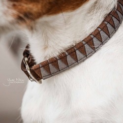 Kentucky dogwear dog collar 'triangle'