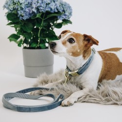 Kentucky dogwear Velvet collection dog lead - Light Blue