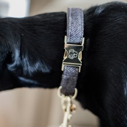 Kentucky dogwear wool collection dog collar - Grey