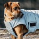 Kentucky Dogwear reflective and Water repellent 150g dogcoat