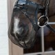 Kentucky Horsewear Anti Fly Nose Net -  Black image