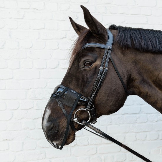 Kentucky Horsewear Anti Fly Nose Net -  Black image