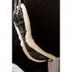 Kentucky Horsewear Sheepskin Anatomic Short Girth - Black image