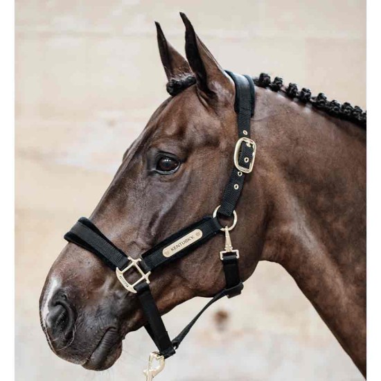 Kentucky Horsewear Black Velvet Headcollar Horse Accessories image