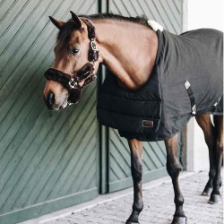 Kentucky Horsewear Horse Bib Summer - Black