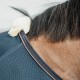 Kentucky Horsewear Mesh Combo Cooler Sheet - Navy Horse Rugs image