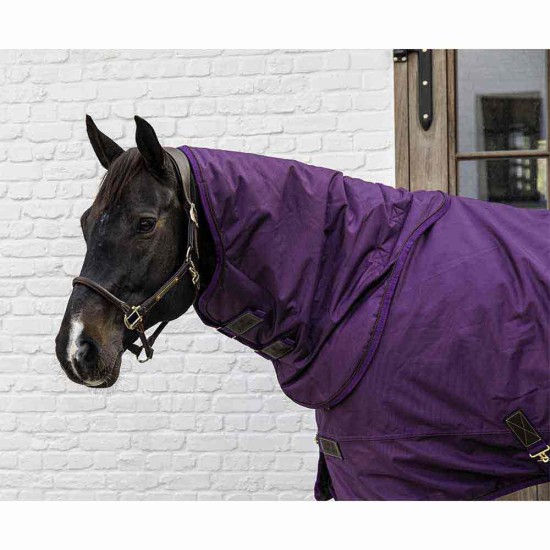Limited Edition Kentucky Horsewear Turnout Rug Pro Neck - Royal Purple image