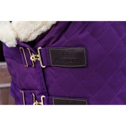 Limited Edition Kentucky Horsewear Show rug - Royal Purple 