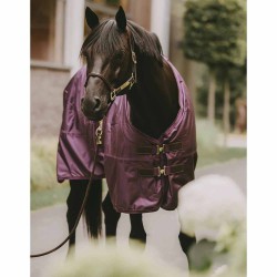 Limited Edition Kentucky Horsewear Turnout Rug Pro 160g - Royal Purple