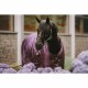 Limited Edition Kentucky Horsewear Turnout Rug Pro 160g - Royal Purple image