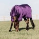 Limited Edition Kentucky Horsewear Turnout Rug Pro 160g - Royal Purple image