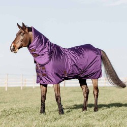 Limited Edition Kentucky Horsewear Turnout Rug Pro 160g - Royal Purple