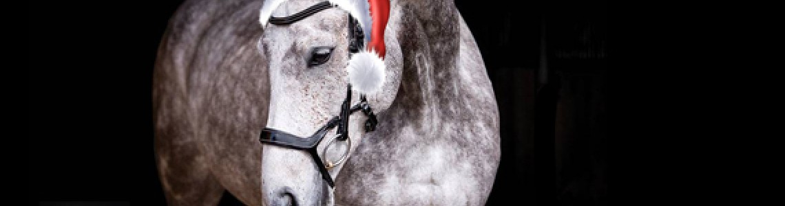 Seasons Greetings! Seasons Greetings!