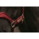 Kentucky Horsewear Bordeaux Velvet Headcollar Horse Accessories image