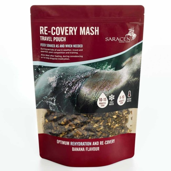 Saracen Re-Covery Mash Travel Pouch image