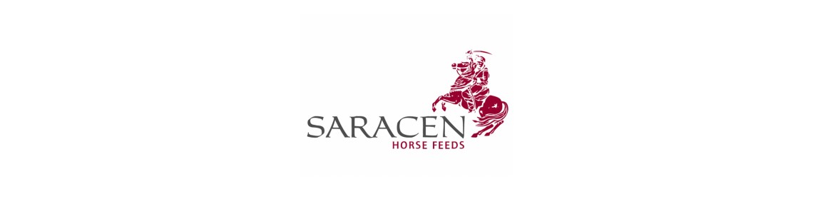 Saracen image