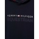Tommy Hilfiger Mens London Logo Fleece Hoodie Desert Sky image