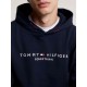 Tommy Hilfiger Mens Williamsburg Graphic Hoodie Desert Sky image