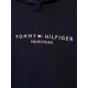 Tommy Hilfiger Mens Williamsburg Graphic Hoodie Desert Sky image