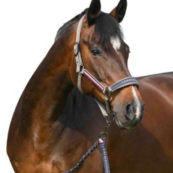 Tommy Hilfiger Yale Set Halter & Rope - Ash