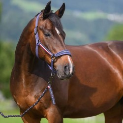 Tommy Hilfiger Yale Set Halter & Rope Faded Indigo