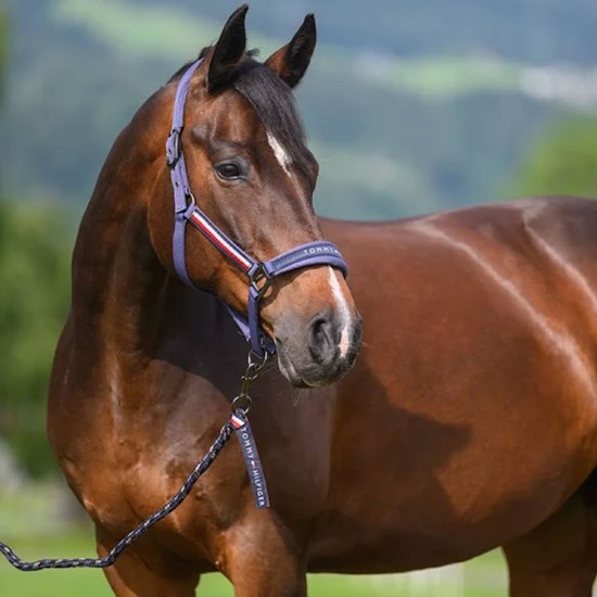 Tommy Hilfiger Yale Set Halter & Rope Faded Indigo image