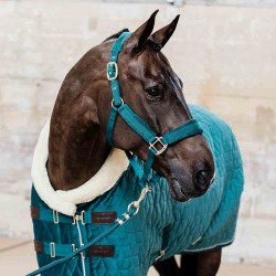 Kentucky Horsewear Emerald Velvet Headcollar