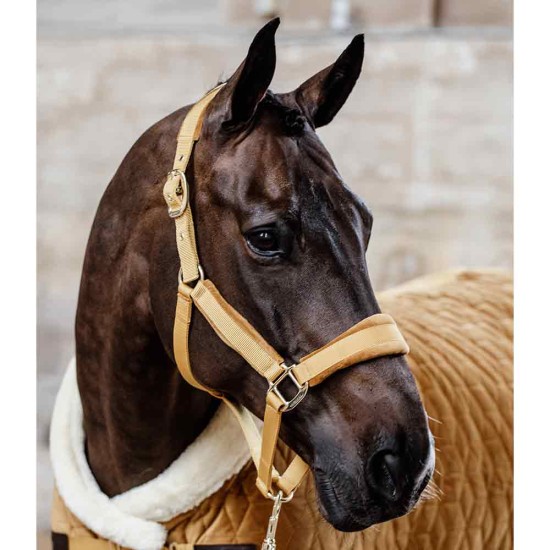 Kentucky Horsewear Mustard Velvet Headcollar Horse Accessories image