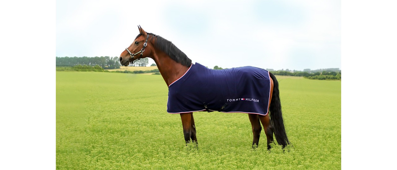 tommy hilfiger horse rugs