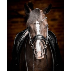 PS of Sweden GP black and Black leather padded bridle