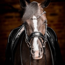 PS of Sweden GP black and Black leather padded bridle