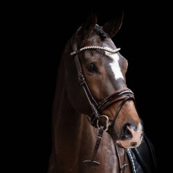 PS of Sweden GP Black and Brown lined  Snaffle bridle