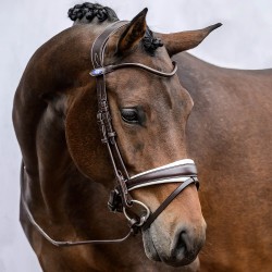PS of Sweden GP Brown and white lined  Snaffle bridle