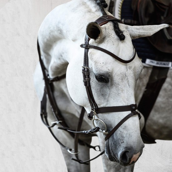 PS of Sweden London snaffle Bridle- brown image