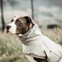Kentucky dogwear Rain dog coat