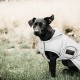 Kentucky Dogwear reflective and Water repellent 150g dogcoat image