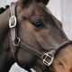 Kentucky Horsewear Anatomic leather headcollar Horse Bridles image