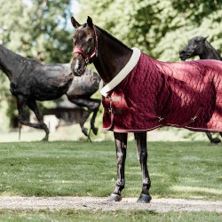 Kentucky Horsewear Bordeaux Velvet Show Rug