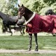 Kentucky Horsewear Bordeaux Velvet Show Rug image