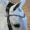 Browbands